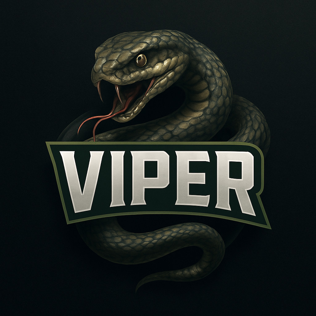 CUSTOM LOGO DESIGN / GAMER LOGO