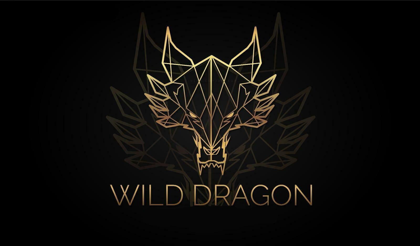 Professional logo design for business with unlimited revisions