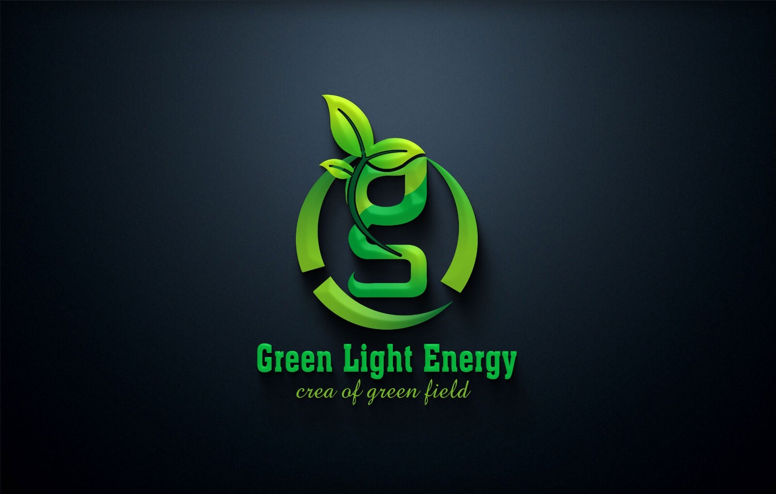 PROFESSIONAL CUSTOM LOGO DESIGN FOR BUSINESS + UNLIMITED REVISION,